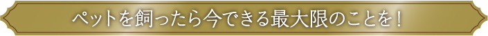 ペットを飼ったら今できる最大限のことを!
